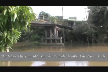 Cầu Vàm Tắc Cây Me - xã Tân Thành, huyện Lai Vung, tỉnh Đồng Tháp