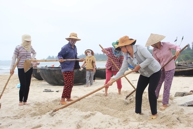 40 tấn cá chết ở miền Trung được xử lý như thế nào?