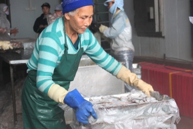 Những người phụ nữ “không màng” ngày 8/3