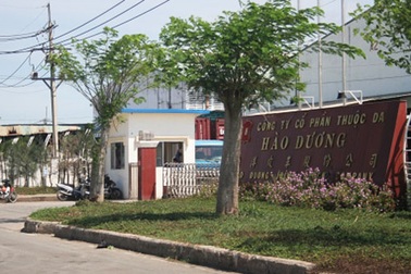Vụ công ty Hào Dương “bức tử” môi trường: Nhẹ tay nên “nhờn thuốc”?