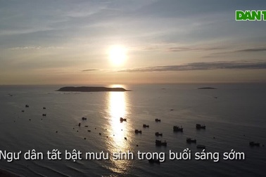 Ngư dân tất bật mưu sinh trong buổi sáng sớm