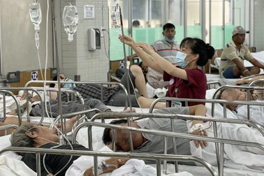 Nhiều ca cấp cứu do động vật có nọc độc tấn công trong kỳ nghỉ lễ