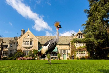 Ngắm biệt thự siêu sang từng thuộc sở hữu của ông trùm "gái đẹp"