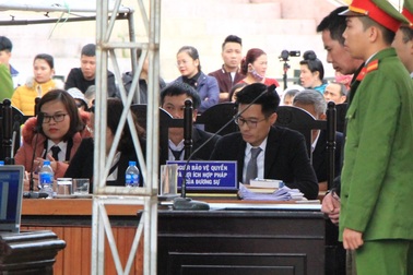 Luật sư đề nghị khởi tố Bùi Thị Kim Thu thêm tội che giấu tội phạm