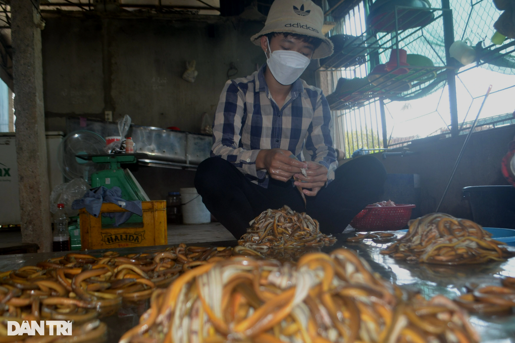 Cả ngày vã mồ hôi tuốt lươn, tiền công bằng 3 tô phở - 9 Cả ngày vã mồ hôi tuốt lươn, tiền công bằng 3 tô phở - 9