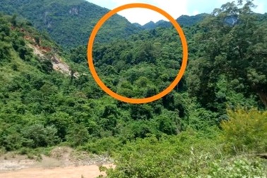 Khai thác gỗ trong rừng, 2 người bị gỗ đè thương vong