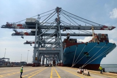 Nhiều tập đoàn hàng đầu thế giới đổ tiền kinh doanh cảng biển Việt Nam
