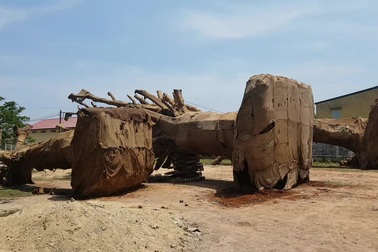 Hình ảnh 3 cây "khủng" trưa 3/4