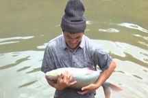 Nuôi cá hiếm trên đỉnh núi, dân thoát nghèo nhờ "bỏ túi" trăm triệu mỗi năm