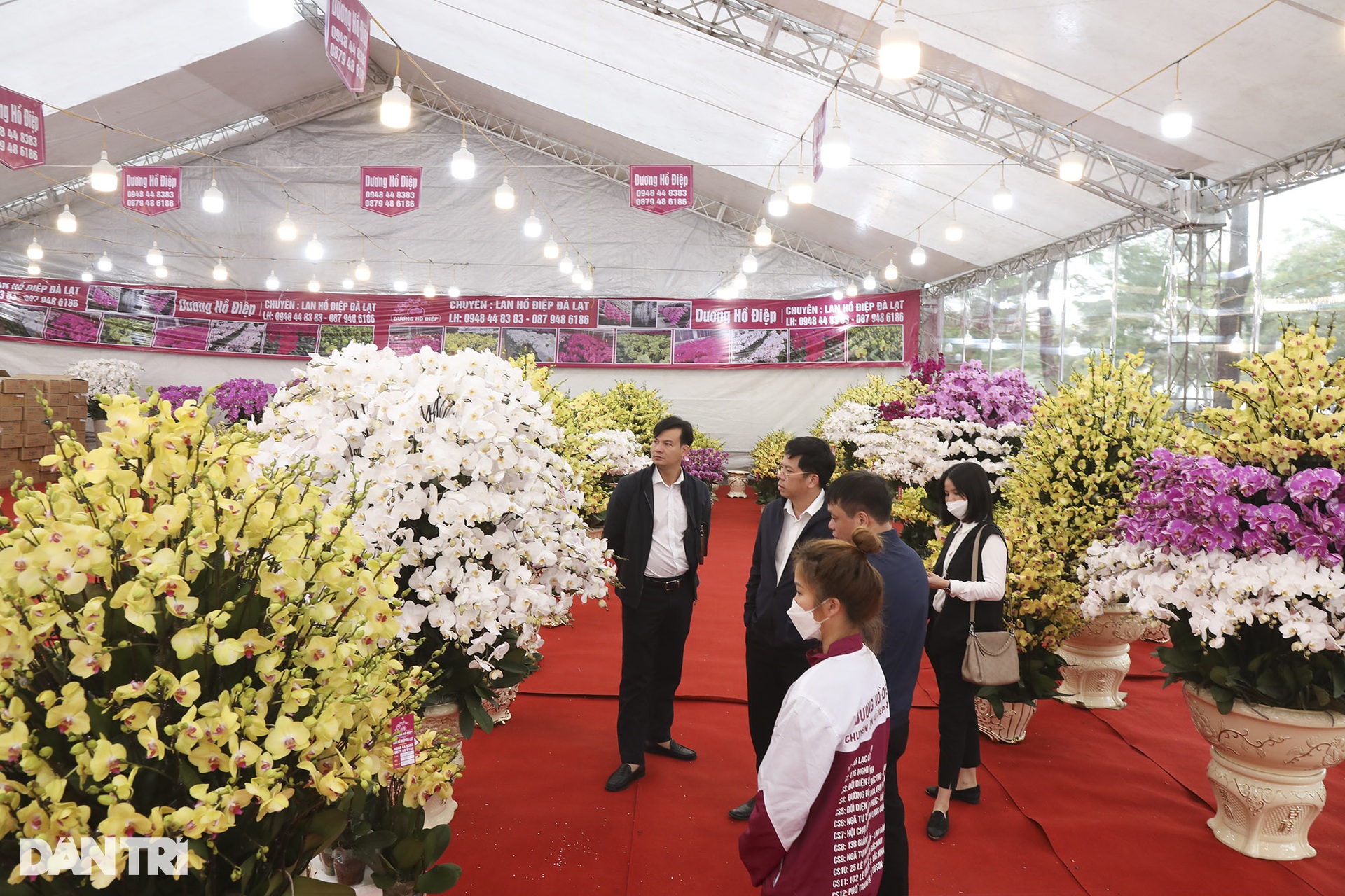 Nhộn nhịp người mua sắm tại chợ hoa tết đường Lạc Long Quân - 8 Nhộn nhịp người mua sắm tại chợ hoa tết đường Lạc Long Quân - 8