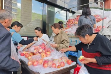 Người nông dân Trung Quốc đột quỵ, bệnh viện giúp bán sạch 4 tấn táo