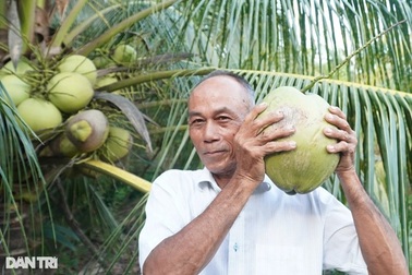 Định vị Việt Nam là trung tâm đổi mới hàng đầu của ngành dừa quốc tế