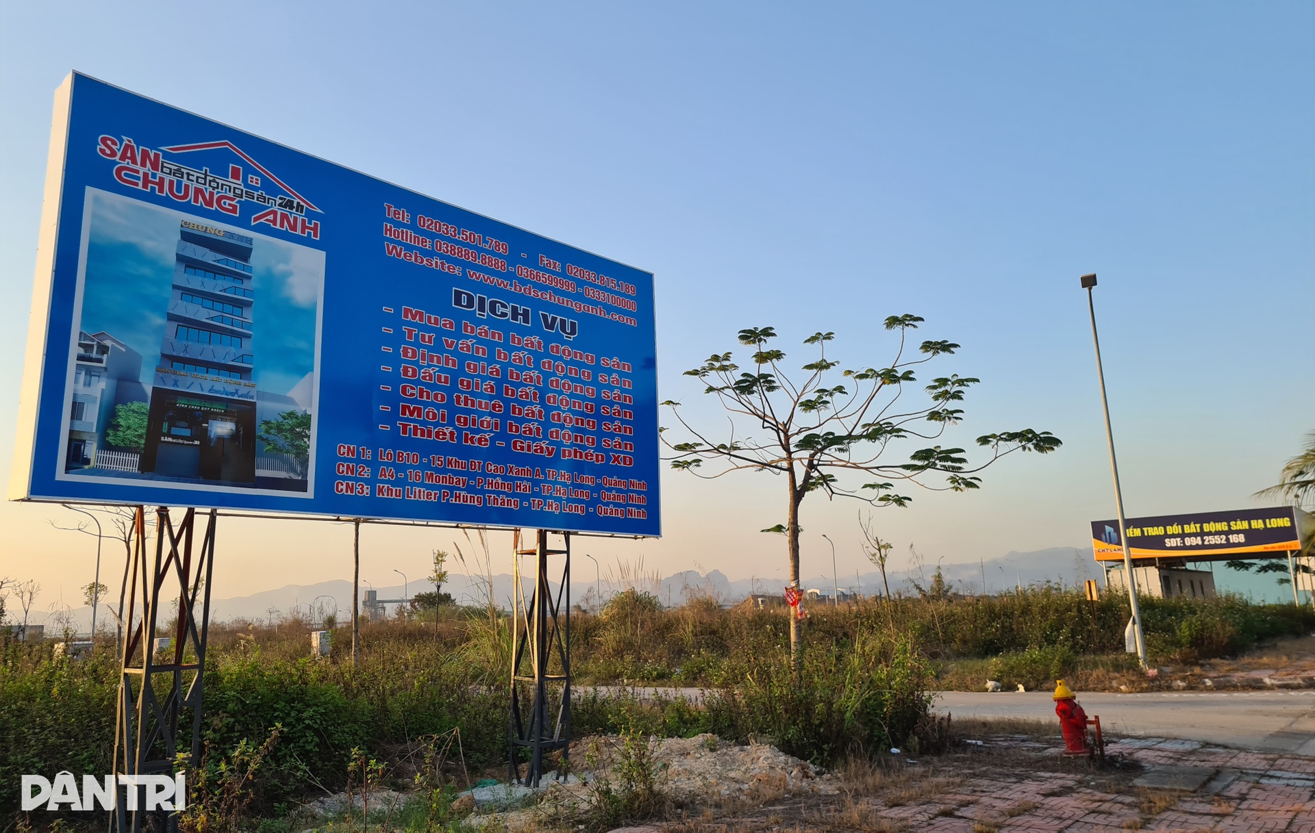 Cỏ mọc um tùm trong các dự án khu đô thị từng sốt hầm hập ở Quảng Ninh - 7 Cỏ mọc um tùm trong các dự án khu đô thị từng sốt hầm hập ở Quảng Ninh - 7