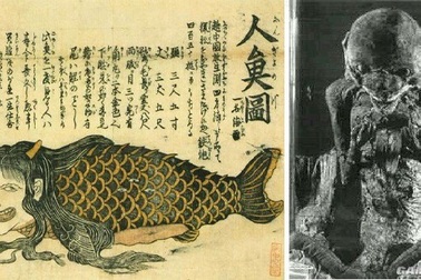 Có hay không sự tồn tại của "Người Cá"?