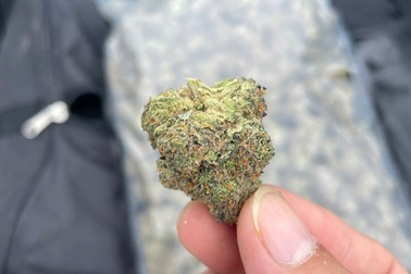 Ngư dân TPHCM vớt hơn 80kg cần sa trôi trên biển