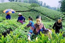 Khẩn trương hoàn thiện giao kế hoạch vốn các chương trình mục tiêu quốc gia