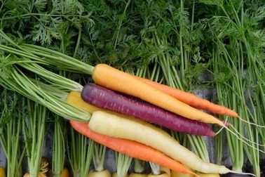 Những điều thú vị bạn ít biết về cà rốt