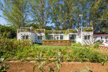 Người đàn ông xây nhà container tuyệt đẹp tặng vợ "trồng rau, nuôi cá"