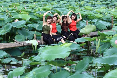 Mướt mồ hôi chụp sen Hồ Tây dưới nắng nóng "thiêu đốt"