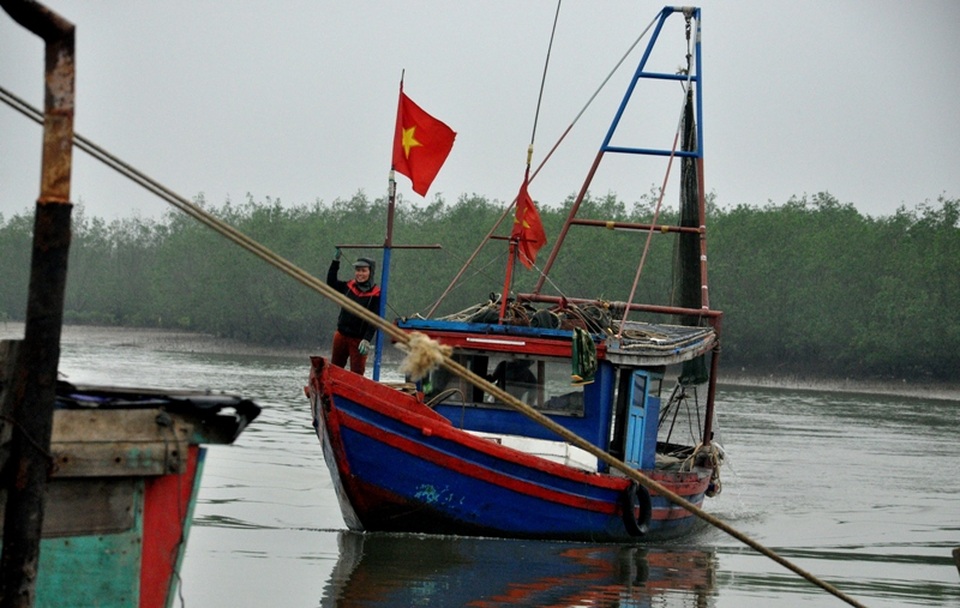 Vì sao bến cá 43 tỷ đồng phải bỏ hoang suốt nhiều năm? - 10 Vì sao bến cá 43 tỷ đồng phải bỏ hoang suốt nhiều năm? - 10