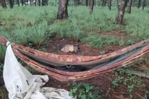 Phát hiện bộ xương người trong võng tại đồi thông ở Lâm Đồng