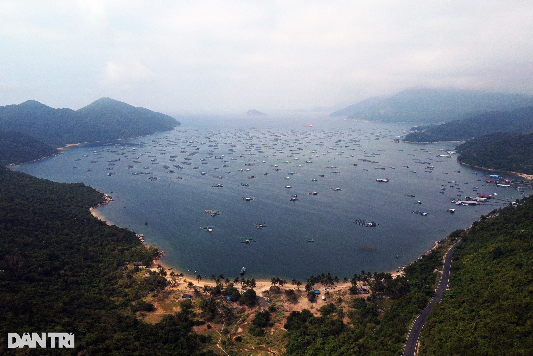 Cẩm nang du lịch Phú Yên: Khám phá vẻ đẹp của xứ sở hoa vàng trên cỏ xanh - 16
