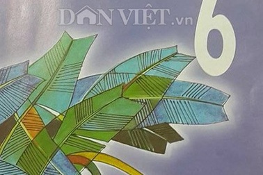 Vụ "Thạch Sanh dùng búa, được thiên thần dạy dỗ": Nhà nghiên cứu nói gì?