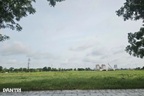 Đề xuất đánh thuế đất bỏ hoang gấp 7 lần: Thế nào được xem là bỏ hoang?