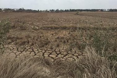 Dân vùng hạn, mặn tranh thủ “tận thu” nước ngọt
