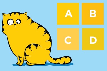 Đố vui: Thử tài nhận biết màu sắc