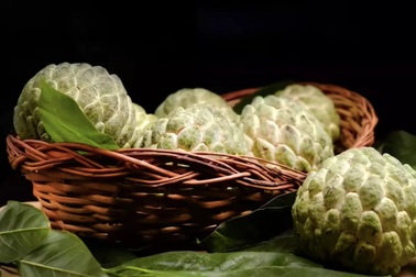 Một ngày bạn được ăn bao nhiêu quả na?