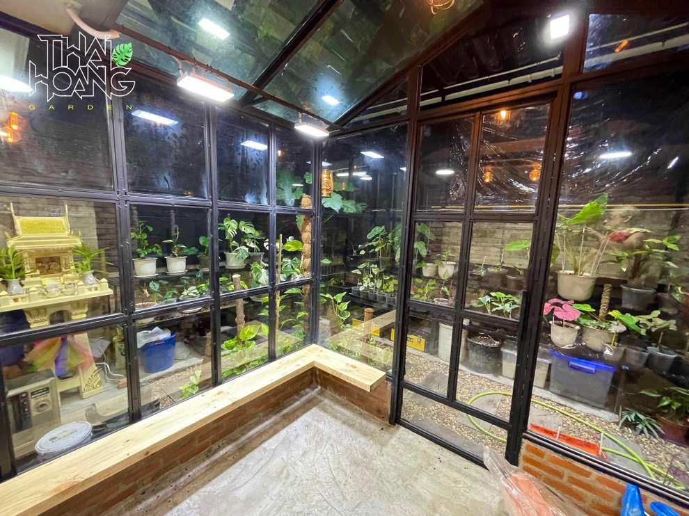 Khu vườn kiểng lá đẹp mắt của người đàn ông Việt Nam tại Thái Lan - 1 Khu vườn kiểng lá đẹp mắt của người đàn ông Việt Nam tại Thái Lan - 1
