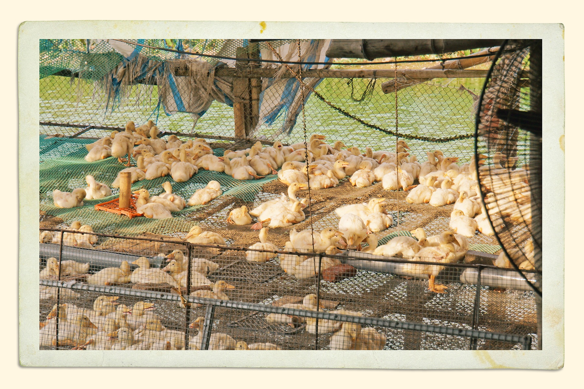 Cựu lính đặc công nước kể chuyện đánh giặc, làm giàu - 19 Cựu lính đặc công nước kể chuyện đánh giặc, làm giàu - 19