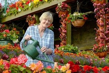 Bỏ ra 26 năm để biến nhà thành “vương quốc của những loài hoa”