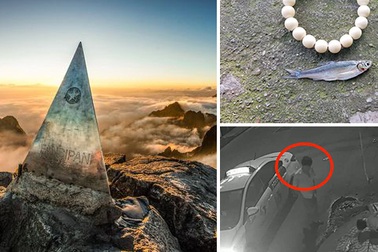 Fansipan cao thêm 4m và lái xe taxi bỏ mặc nạn nhân sau tai nạn