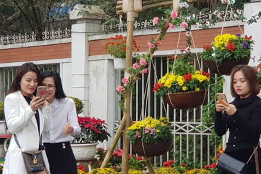 Con đường hoa xuân độc đáo Thành Vinh