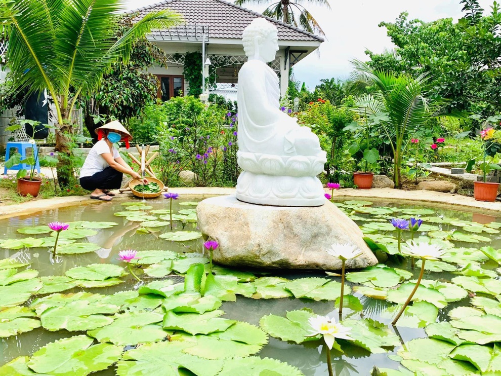 Vườn trồng rau, nuôi cá đẹp như tranh của người chồng tặng vợ ở Đồng Nai - 2 Vườn trồng rau, nuôi cá đẹp như tranh của người chồng tặng vợ ở Đồng Nai - 2