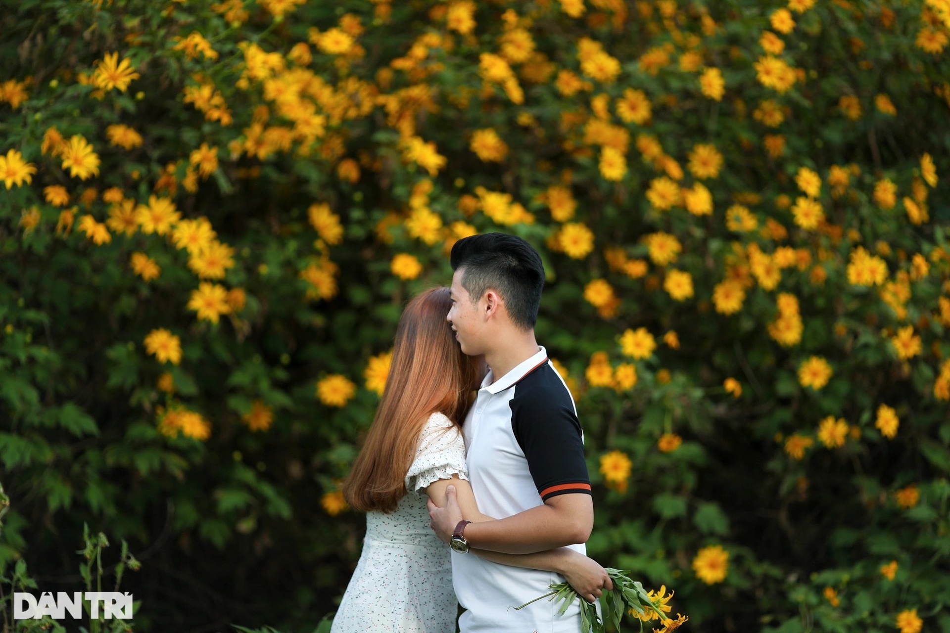 Hoa dã quỳ nở rộ cả sườn đồi, bạn trẻ đổ xô về ngoại ô Đà Lạt check-in - 27