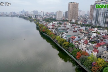 Hồ Tây rực rỡ trong mùa hoa đa sắc màu