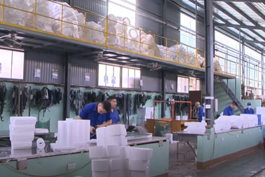 TPM, 5S, Kaizen - Bộ công cụ nâng cao năng suất chất lượng cho doanh nghiệp