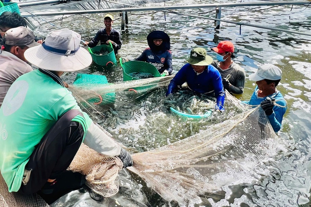 Tuyển lao động biết tiếng Thái Lan, lương đến 60 triệu đồng/tháng - 1