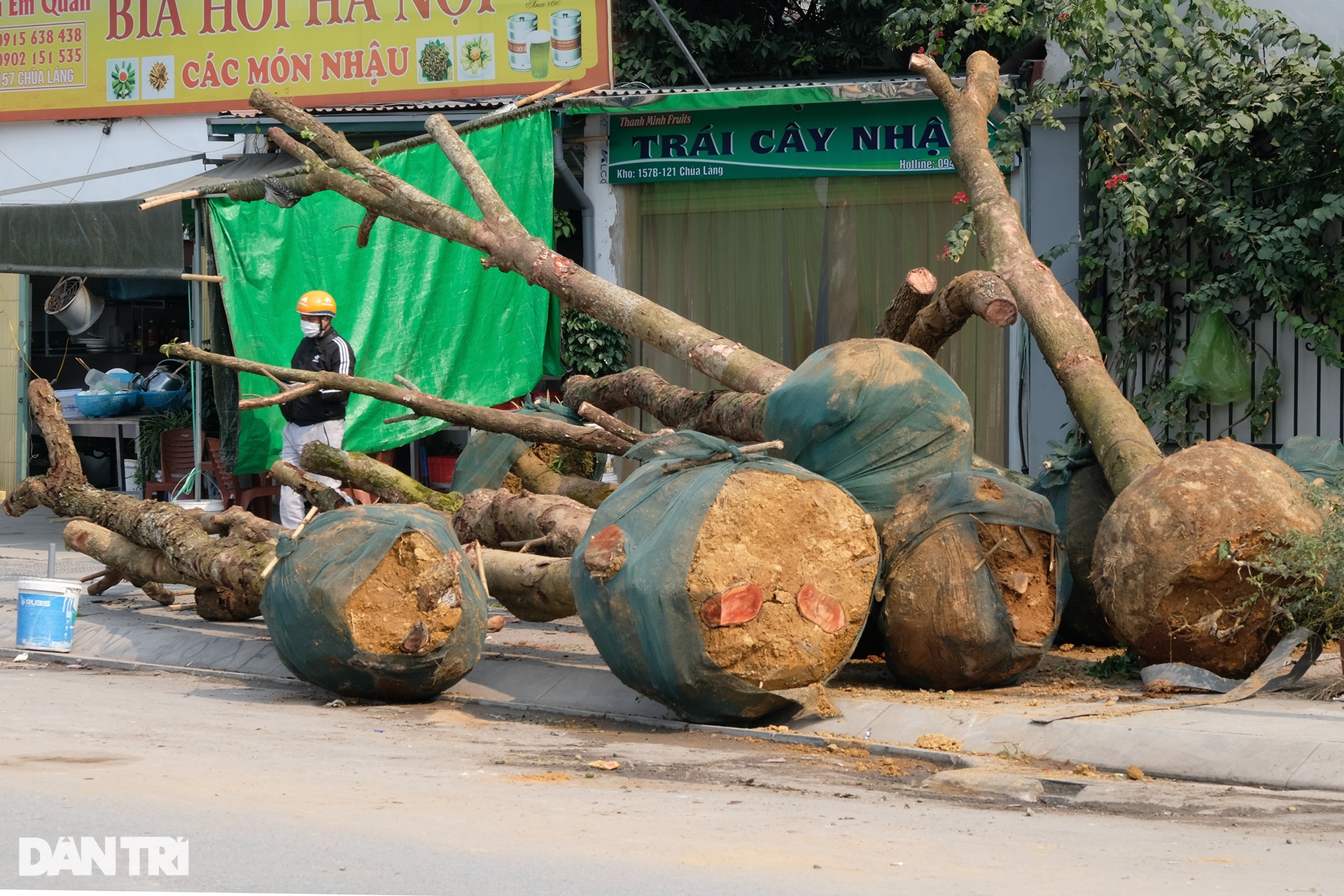 Gấp rút hoàn thành đường Huỳnh Thúc Kháng kéo dài trước Tết Nguyên đán - 7 Gấp rút hoàn thành đường Huỳnh Thúc Kháng kéo dài trước Tết Nguyên đán - 7