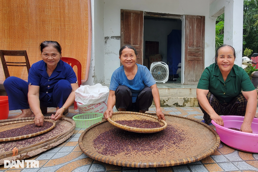 Nông dân U70 khiến cả làng tâm phục khẩu phục từ món quà của con trai - 4 Nông dân U70 khiến cả làng tâm phục khẩu phục từ món quà của con trai - 4