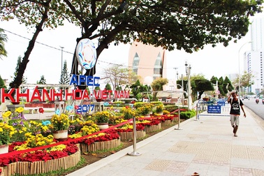 Đường phố Nha Trang rực rỡ trong dịp APEC - SOM1