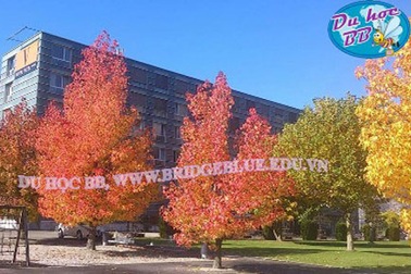 Hội thảo du học Thụy Sĩ, trường Vatel danh giá