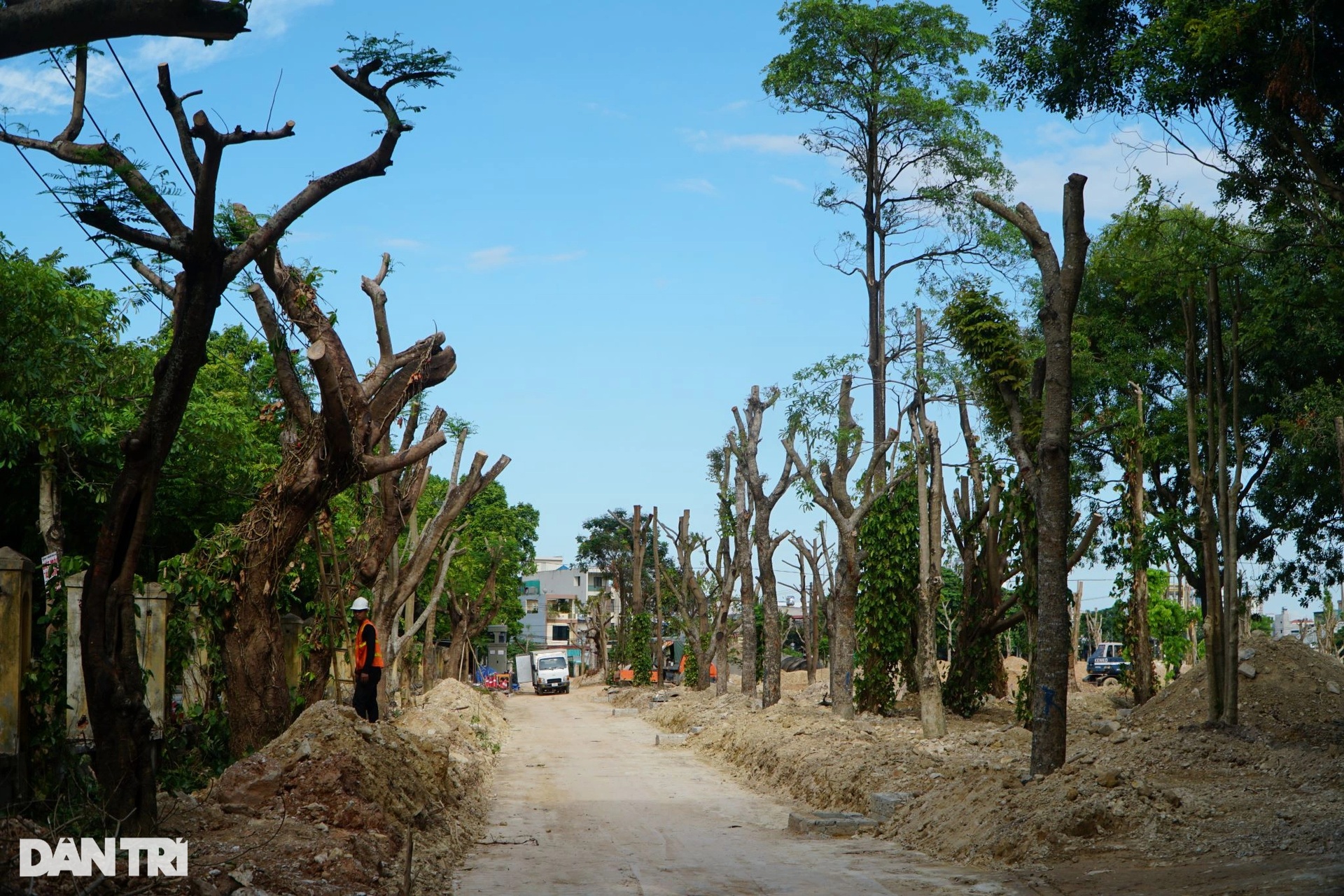 Di chuyển gần 1.000 cây xanh trong công viên Hội An ở Thanh Hóa - 2 Di chuyển gần 1.000 cây xanh trong công viên Hội An ở Thanh Hóa - 2