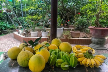 Khu vườn "trong mơ" với gần 40 loại rau quả sai trĩu trịt giữa lòng Hà Nội