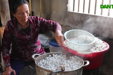 Nuôi tằm, ươm tơ mang lại nguồn thu 4 tỷ đồng cho người dân xã biển