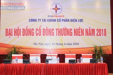 Công ty Tài chính CP Điện lực tổ chức thành công Đại hội đồng cổ đông thường niên năm 2018