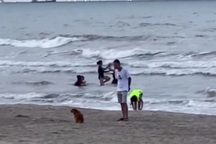 Du khách bức xúc vì chó phóng uế trên bãi biển Cửa Lò